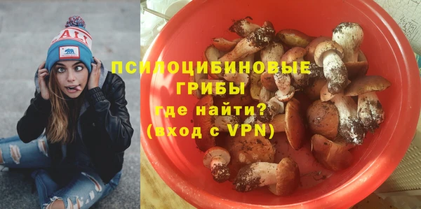 mdpv Арсеньев