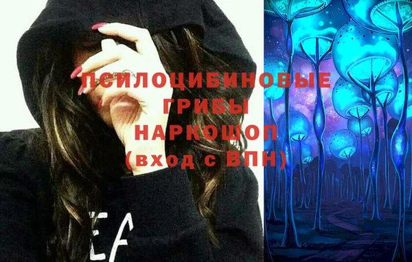 mdpv Арсеньев